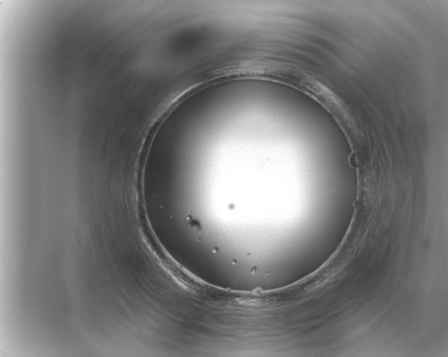 X0000070880794200606302136