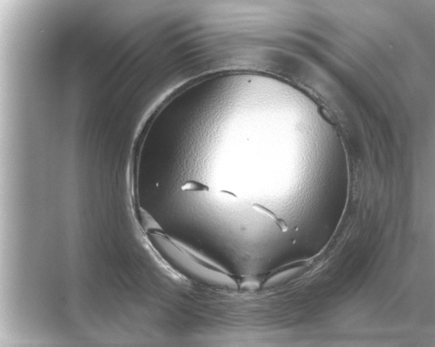 X0000070880796200606302136