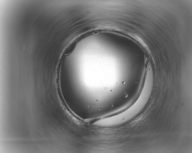 X0000070880799200606302136