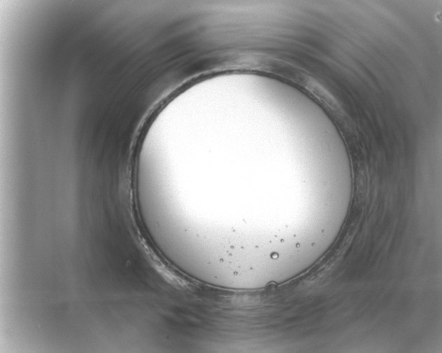 X0000070880800200606302136