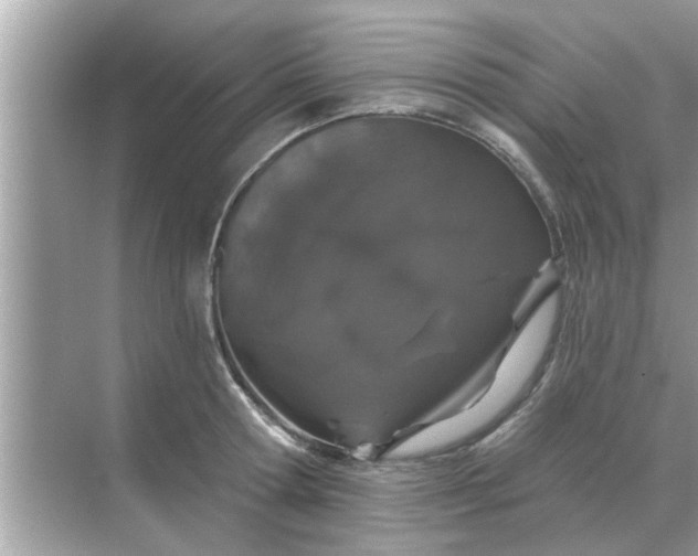 X0000070880802200606302136