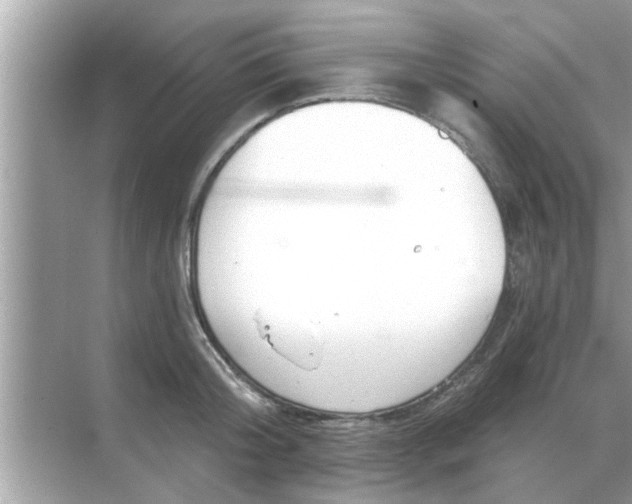 X0000070880804200606302136