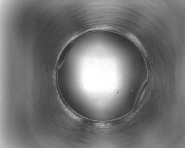 X0000070880805200606302136