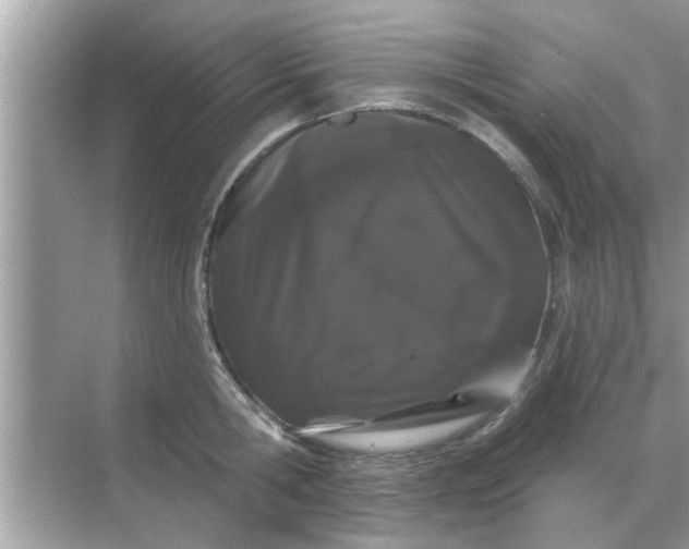 X0000070880806200606302136