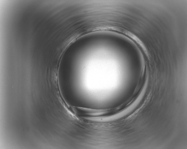 X0000070880809200606302136