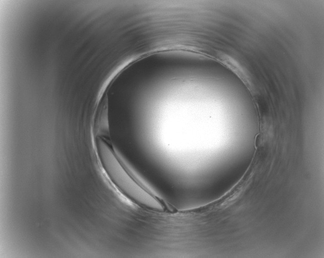 X0000070880812200606302136