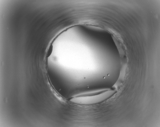 X0000070880816200606302136