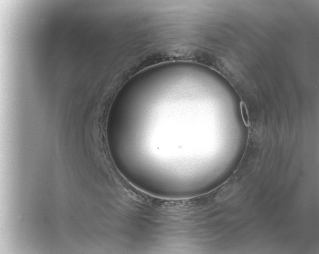 X0000070880817200606302135