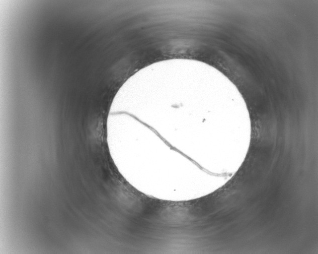 X0000070880820200606302135