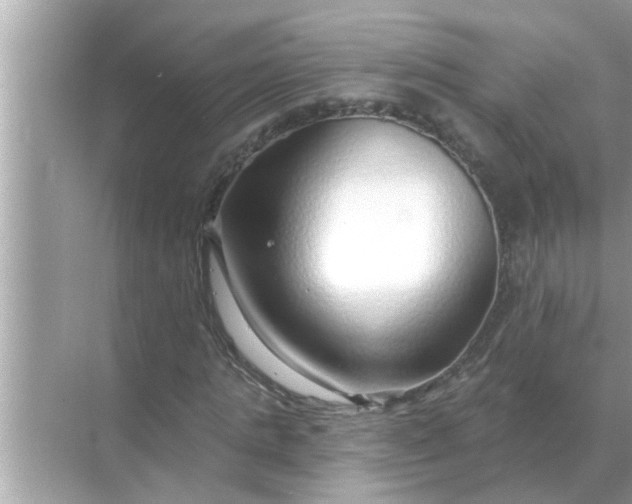 X0000070880821200606302135