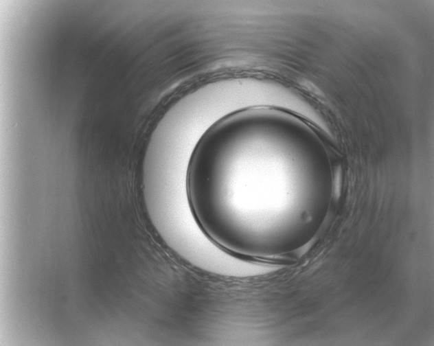 X0000070880822200606302135