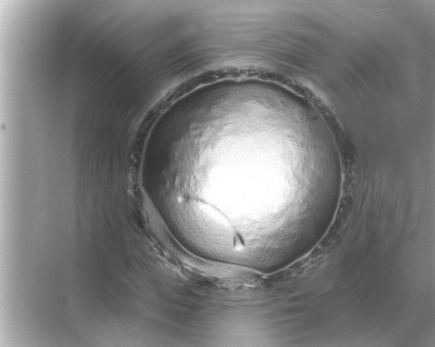 X0000070880823200606302135