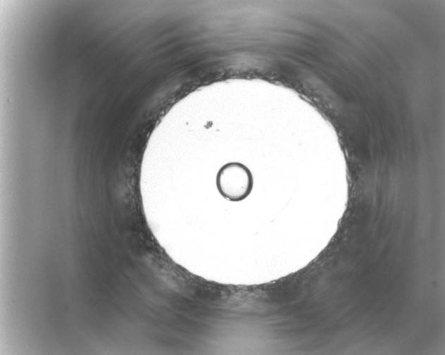 X0000070880824200606302135