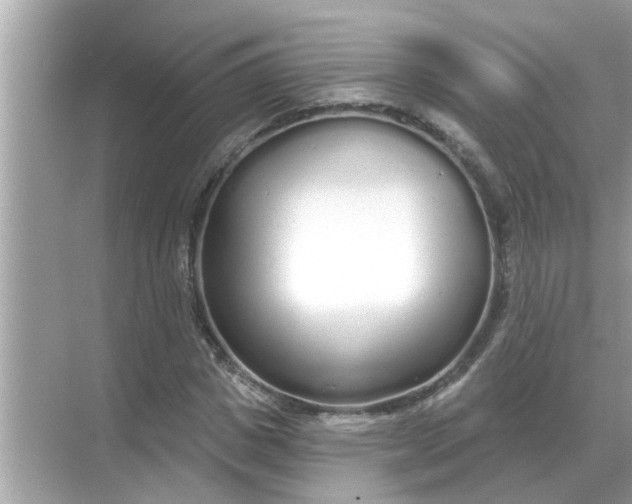 X0000070880825200606302135