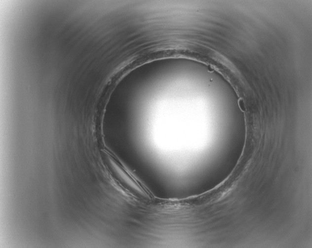 X0000070880826200606302135