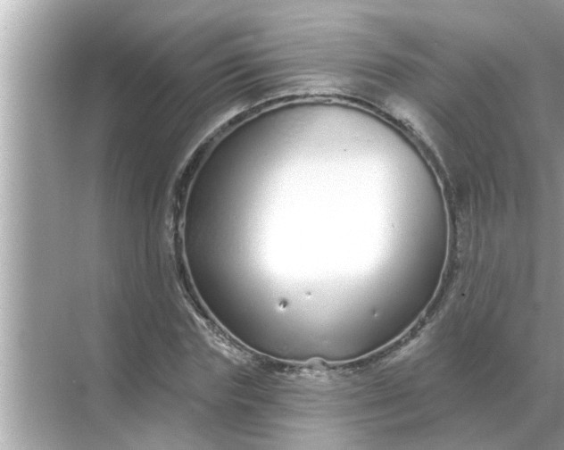 X0000070880827200606302135