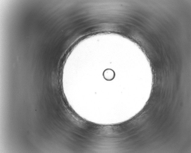 X0000070880828200606302135