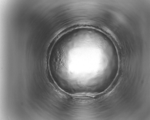 X0000070880829200606302135