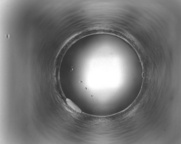 X0000070880830200606302135