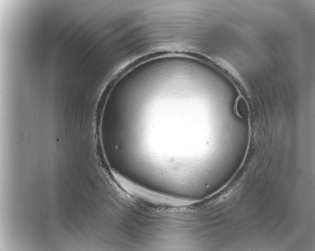 X0000070880831200606302135