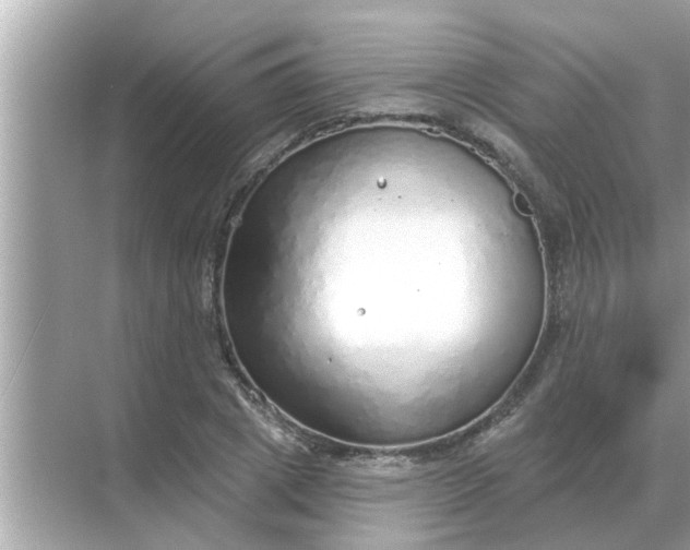 X0000070880833200606302135