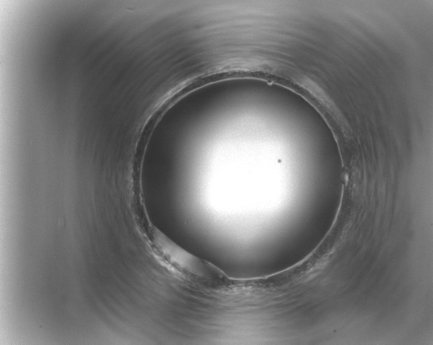 X0000070880834200606302135