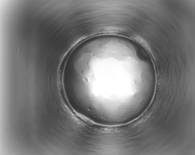 X0000070880835200606302135