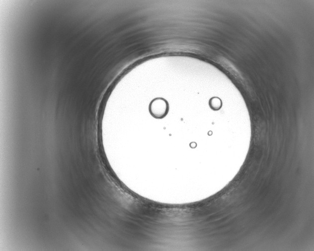 X0000070880836200606302135