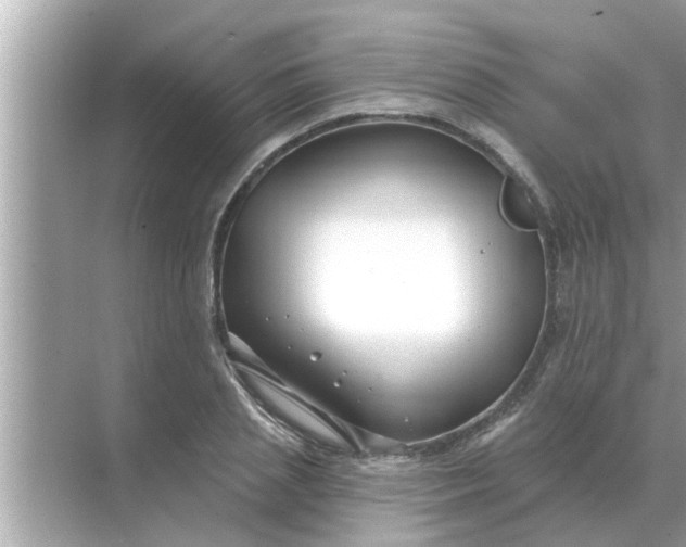 X0000070880837200606302135