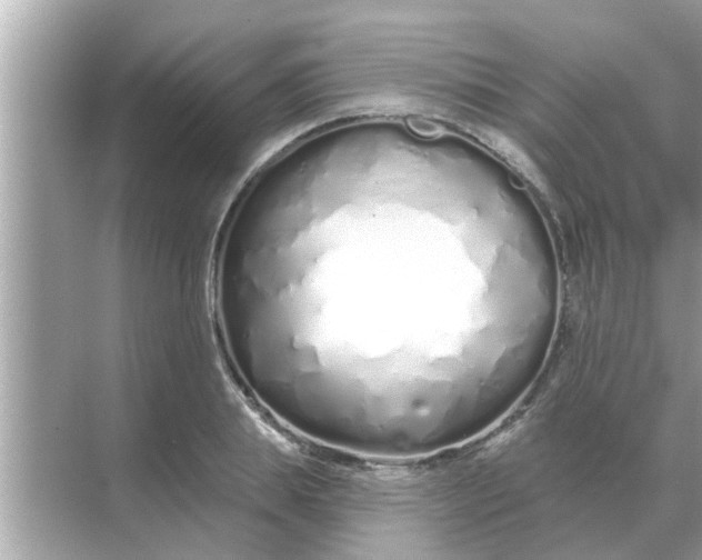 X0000070880839200606302135