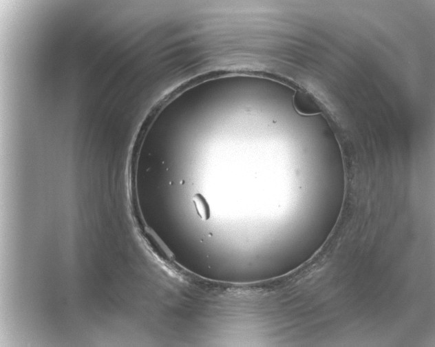 X0000070880840200606302135