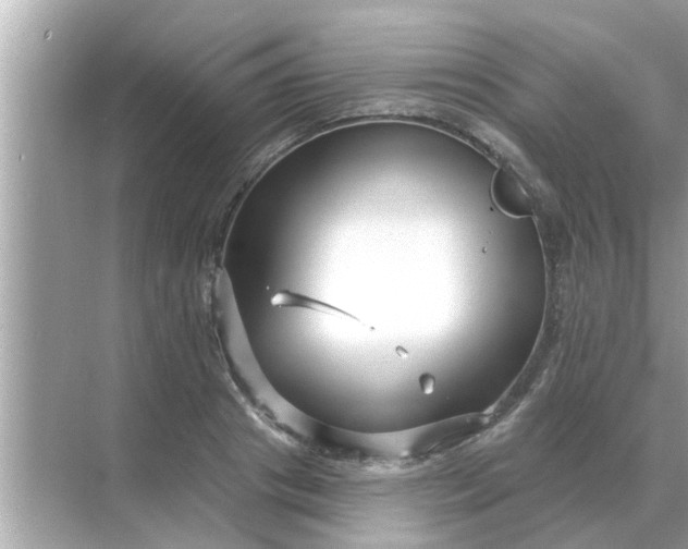 X0000070880841200606302135