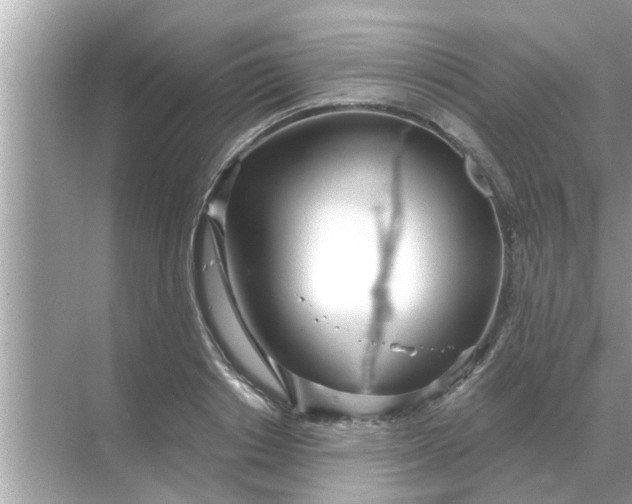 X0000070880842200606302135