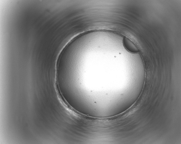 X0000070880844200606302135