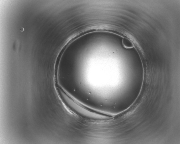 X0000070880845200606302135