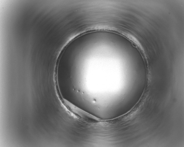 X0000070880847200606302135