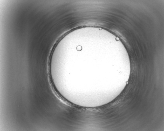 X0000070880848200606302135