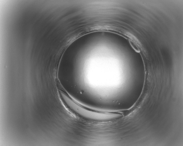 X0000070880849200606302135