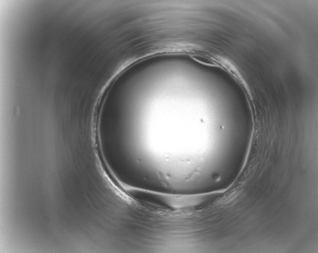 X0000070880851200606302135