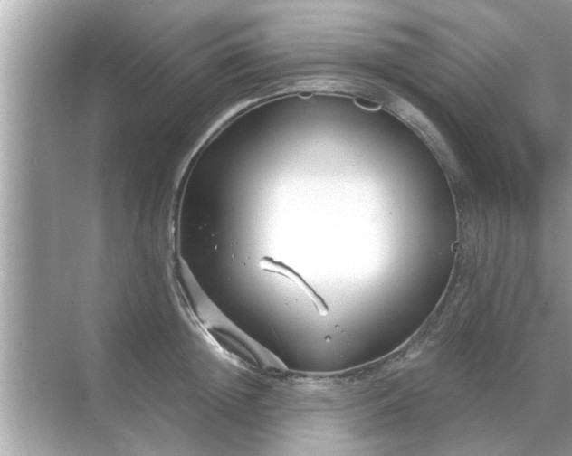 X0000070880852200606302135