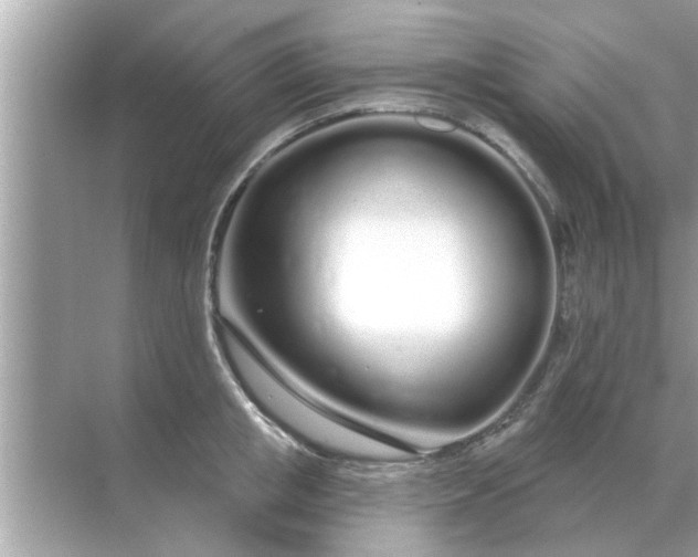 X0000070880853200606302136