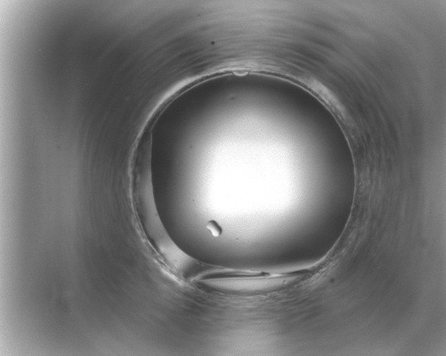 X0000070880854200606302136