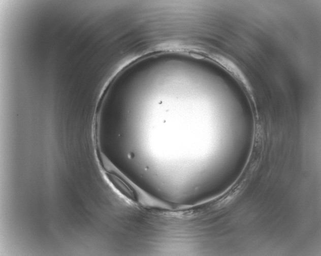 X0000070880855200606302136