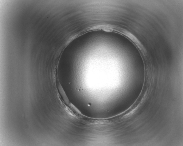 X0000070880857200606302136