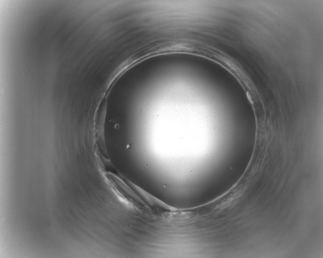 X0000070880858200606302136