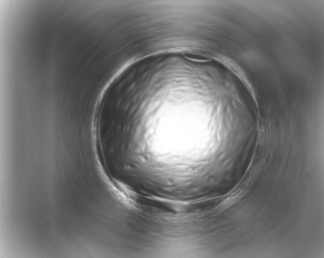 X0000070880859200606302136