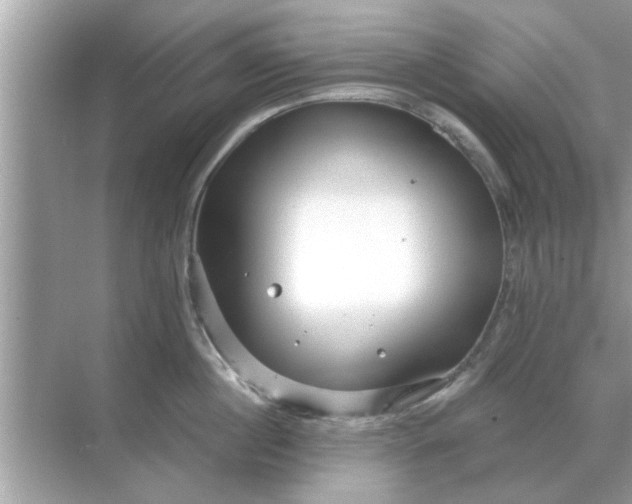 X0000070880860200606302136