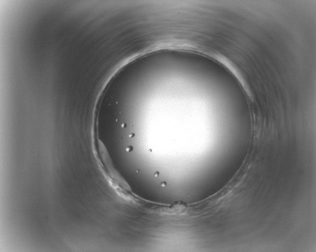 X0000070880861200606302136