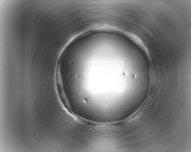 X0000070880863200606302136