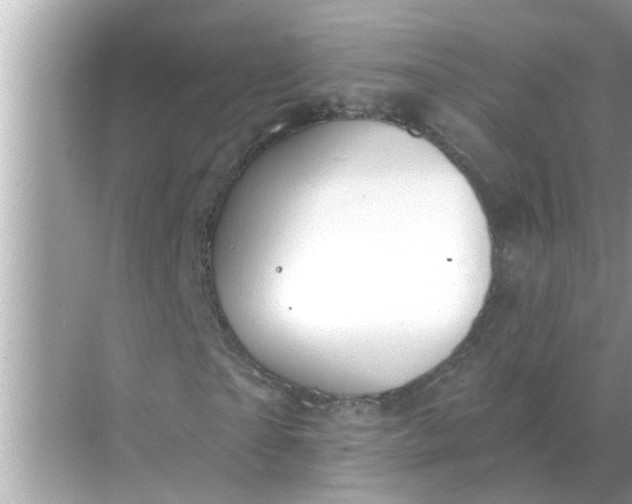 X0000070880865200606302135